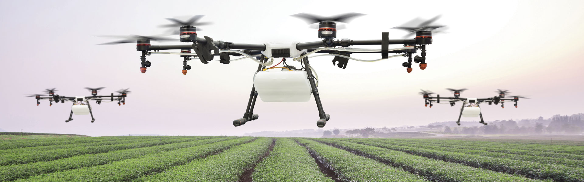 Verificando a plantação com Drones